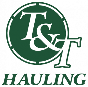 TT logo